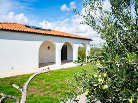 Holiday Home Olivarum with pool Vacation rental in Šibenik-Knin County, Croatia