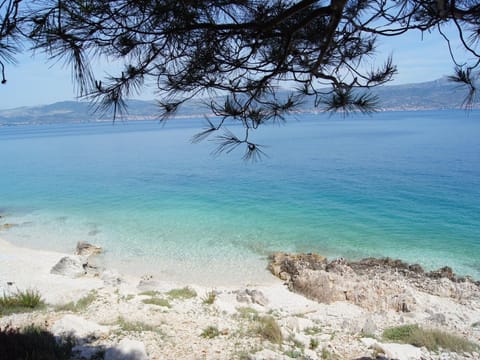 Wohnung mit Grill, Terrasse und Garten Apartment in Trogir