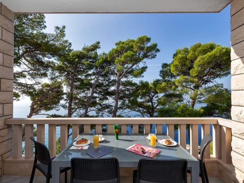 Pine Canopy Studio Apartment mit Meerblick A13 Apartment in Brela