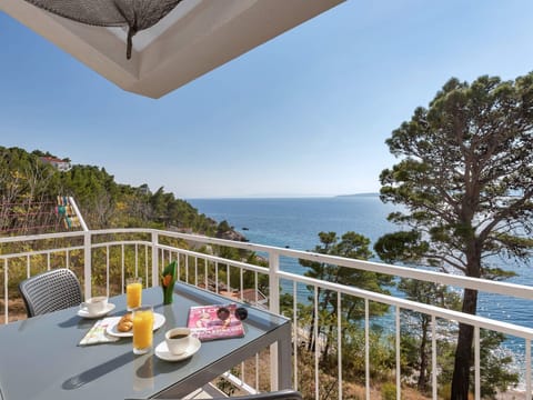 Pine Canopy Studio Apartment mit Meerblick A11 Apartment in Brela