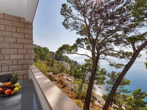 Pine Canopy Studio mit Balkon und Meerblick A7 Apartment in Brela