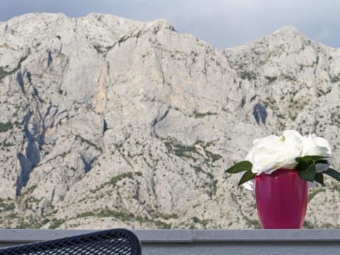 "Rose" mit Terrasse Apartment in Makarska