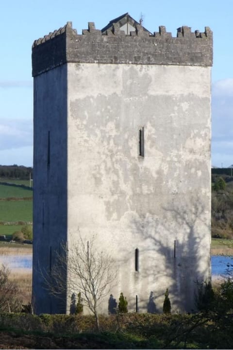 Schloss Ballindooley Vacation rental in Galway