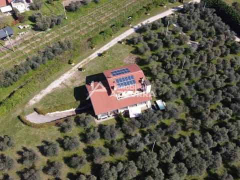 Villa i Roccoli, zwischen Olivenbäumen mit priva Vacation rental in Bardolino
