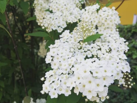 Studio 'Novecento' mit eigener Terrasse Apartment in Desenzano del Garda
