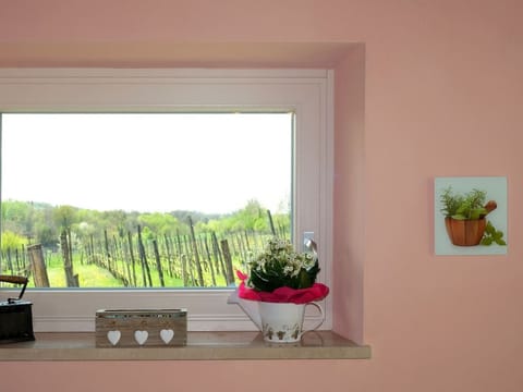 Bauernhof La Bosca Apartment in Province of Brescia