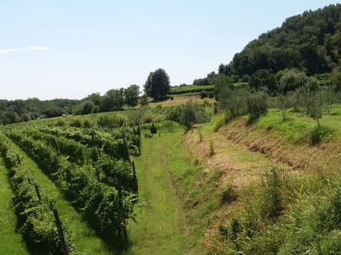Bauernhof La Bosca Apartment in Province of Brescia