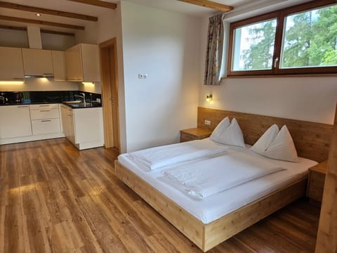Panorama - Studio Apartment in Trentino-South Tyrol