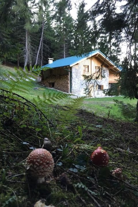 mit Sauna in Pieve Di Bono Apartment in Ledro