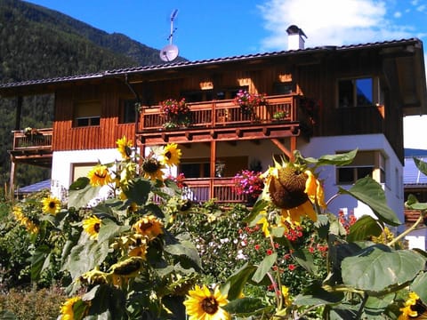 mit Terrasse auf einem Bauernhof Apartment in Trentino-South Tyrol