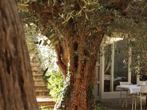 In einem Bauernhaus in den Hügeln, mit Garten und Pool Apartment in Pesaro