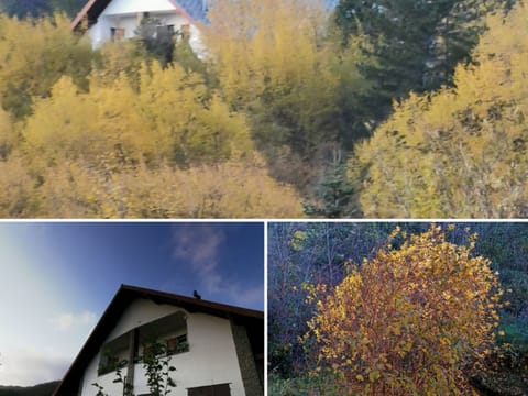 Chalet 'Perle des Höhenweges' Apartment in Liguria