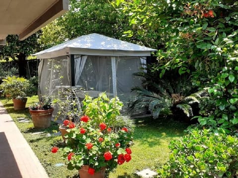 Casa Luisita Apartment in Pietrasanta