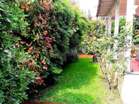 Villa Rita Vacation rental in Forte dei Marmi