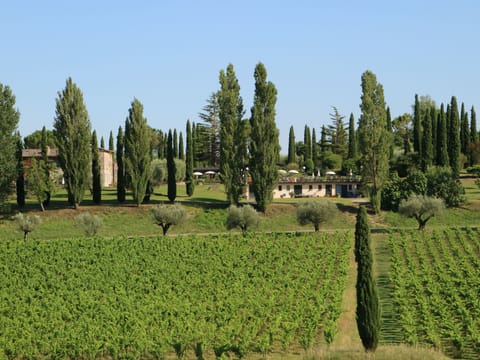 Flach 4px Apartment in Umbria