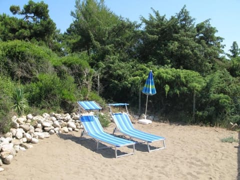 Villa Giacaranda Vacation rental in Tuscany