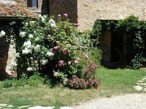 Urlaub flach weiß Apartment in Castellina in Chianti