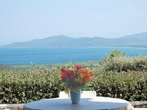 Wohnung in Punta Ala mit Großer Terrasse Apartment in Punta Ala