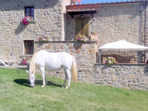 Wohnung la Mimosa Apartment in Umbria