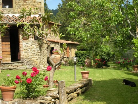 Schönes Haus mit privatem Pool in der Nähe von Cortona Vacation rental in Umbria