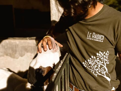 Le Radici - Zafferano - Entspannen im Herzen von Umbrien Apartment in Umbria