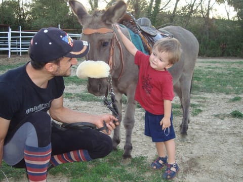 'La Stalla' mit Terrasse Apartment in Umbria