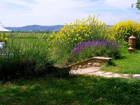 Wohnung in Santa Maria mit Whirlpool, Grill und gemeinsamem Pool Apartment in Umbria