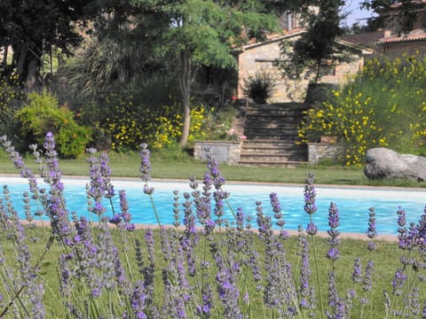 Wohnung in Santa Maria mit Whirlpool, Grill und gemeinsamem Pool Apartment in Umbria