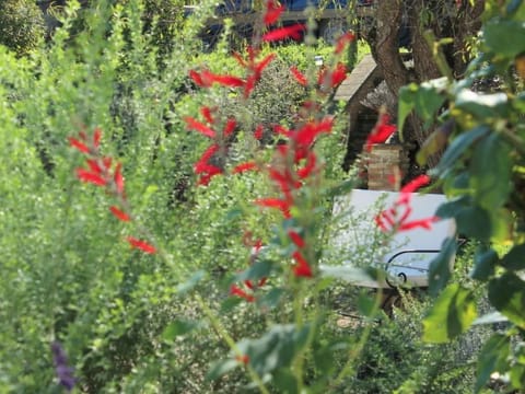 Apartment MONTONE Apartment in Umbria