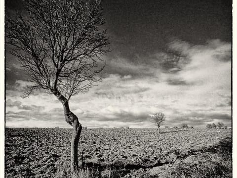 Il Melograno Panoramahaus Apartment in Umbria