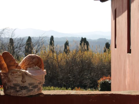 Rustikale Wohnung mit Swimmingpool in den Hügeln der Toskana Apartment in Tuscany