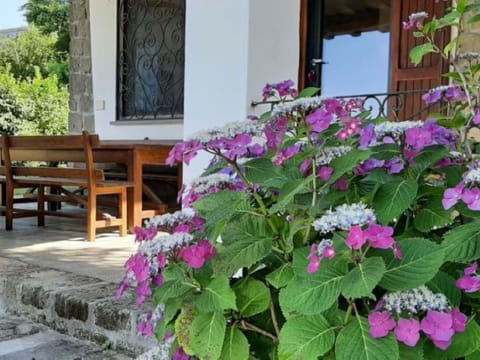 Villa Garden am See Apartment in Bracciano
