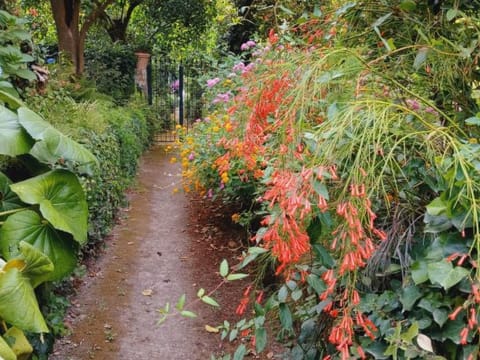 La Veranda di Villa Preziosa al Pizzo Vacation rental in Sant Agnello