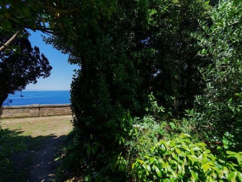 Il terrazzino di Villa Preziosa al Pizzo Apartment in Sant Agnello