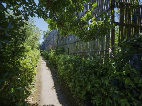 Il terrazzino di Villa Preziosa al Pizzo Apartment in Sant Agnello