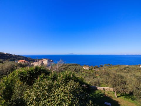 'Casa Fiorita' mit Wasserblick Vacation rental in Sorrento