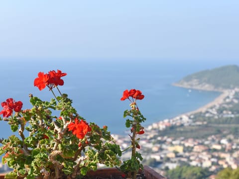 Villa Felice 3 Apartment in Castellabate