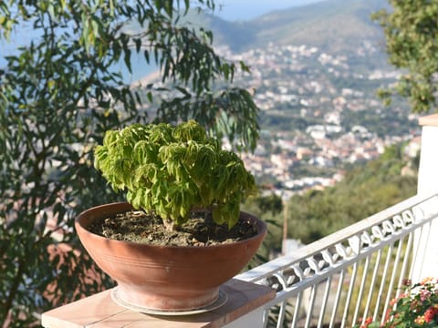 Villa Felice 3 Apartment in Castellabate