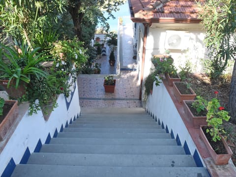 mit Meerblick und großer Terrasse Apartment in Castellabate