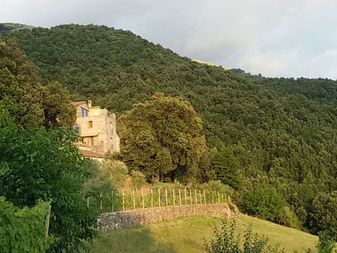 Kleines feines helles Appartment im Gruenen mit Meerblick Apartment in Basilicata