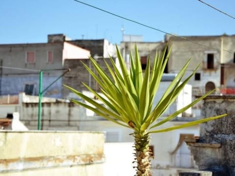 Casa Antica Canosa Vacation rental in Province of Foggia