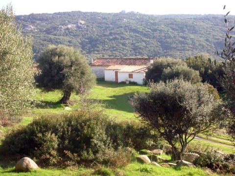 Stazzo mit Garten in Luogosanto Vacation rental in Sardinia