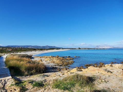 Sato-AP35-3-A Apartment in San Teodoro