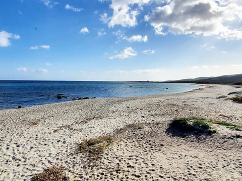 Sato-AP35-3-A Apartment in San Teodoro