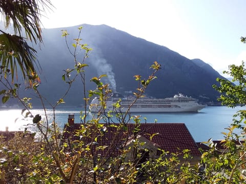 Ruhiger Ort im Herzen einer Bucht Apartment in Dobrota