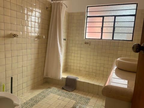 Coyoacan Zentrum Loft Apartment in Mexico City