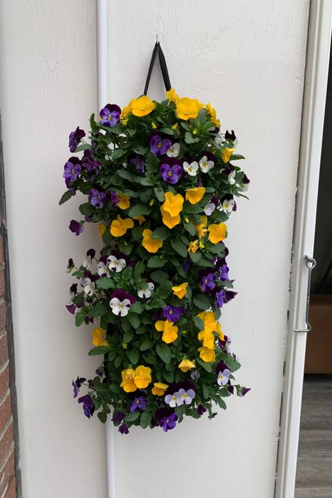 Zaandam in der Nähe aller niederländischen Sehenswürdigkeiten Vacation rental in Zaandam