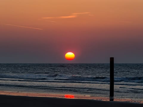 Gemütliches Mobilheim mit 3 Schlafzimmern Apartment in South Holland (province)
