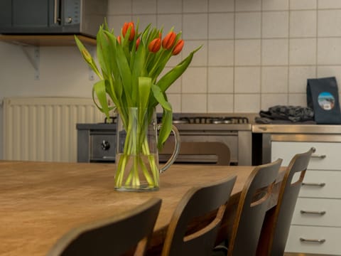 Zonnevylle Vacation rental in Zoutelande