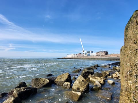 "Zeezicht" mit einzigartigem Meerblick Vacation rental in Vlissingen